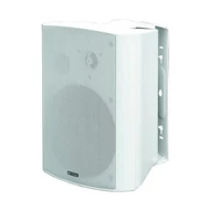 Castone CWS-301W 100 V-os fali hangdoboz