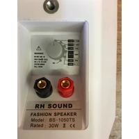 RH SOUND BS-1050 TS/W 100 V-os hangfal, fehér